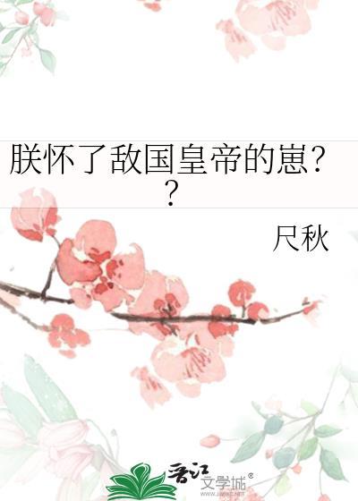 朕怀了敌国质子的崽