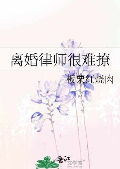 律师的离婚率高吗