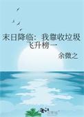 末日降临我靠收垃圾飞升榜一番外
