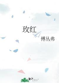 玫红王太阳花