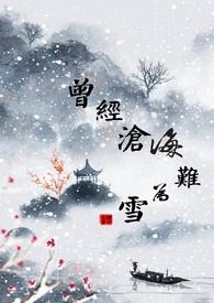 曾经沧海难为水原意