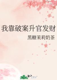 我靠破案升官发财TXT