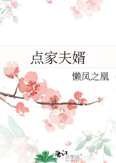 点家夫婿大结局