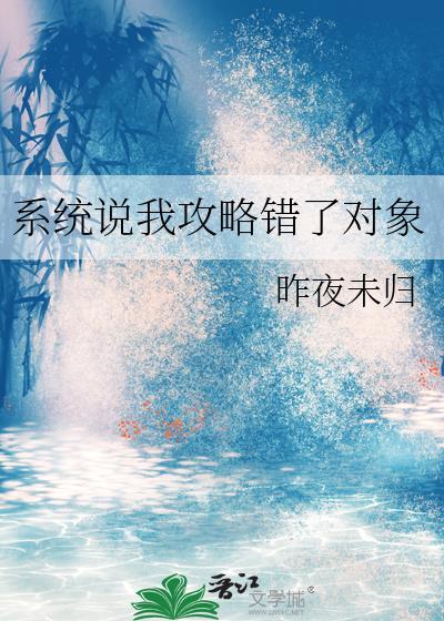 我攻略错了大佬