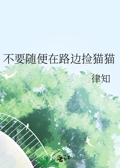在路上捡猫