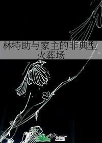 林特助和梁大小姐