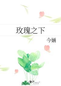 玫瑰之下是什么