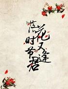 落花时节又逢君落花的寓意