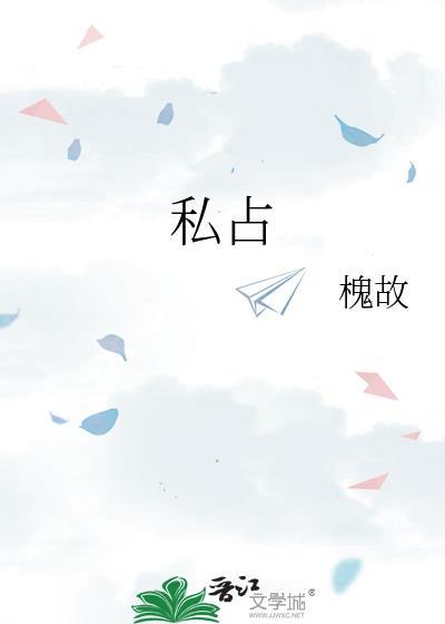 私占公共土地怎么处理