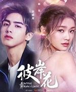 彼岸花小花喵全文免费阅读