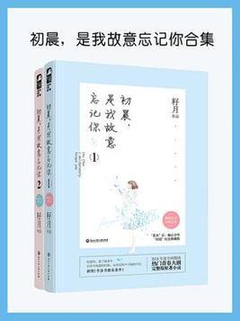 是我故意忘记你歌词