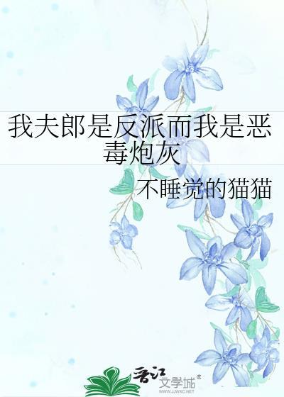 我夫郎是反派而我是恶毒炮灰不睡觉猫