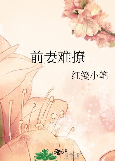 前妻难撩老婆求壁咚