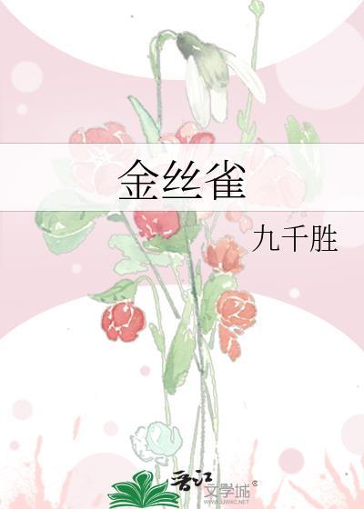 金丝雀怎么养