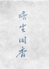暗香红尘什么意思