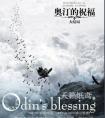 奥汀的祝福txt