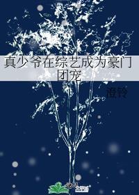 真少爷手握甜文剧本by