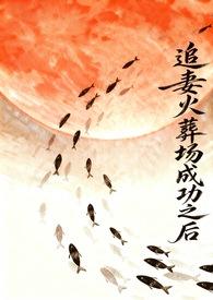 追妻火葬场受伤