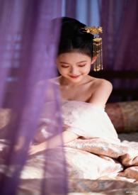 满朝文武皆为帐中客txt