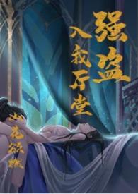 强盗t9