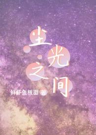 尘光夕瞬全文免费阅读