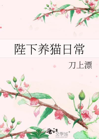 婚后追妻
