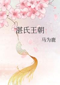 湛氏王朝百度TXT资源