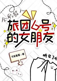 全职猎人旅团篇集数