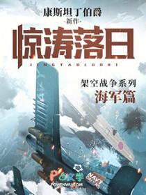 惊涛落日全文在线