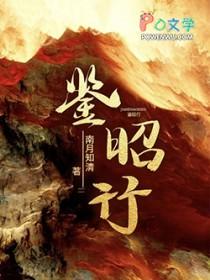 鉴昭行书评