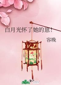 白月光怀了她的崽容晚笔趣阁