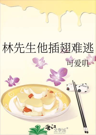 林先生的