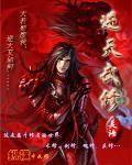 医武龙诀林叶和苏倾城月半清风