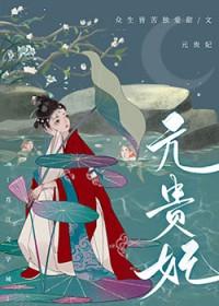 贵妃 妃