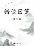 错位囚笼免费阅读