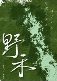 伪兄妹梗