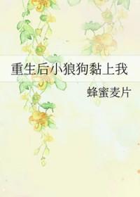 小狼狗后实体书