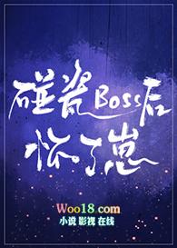 碰瓷免费
