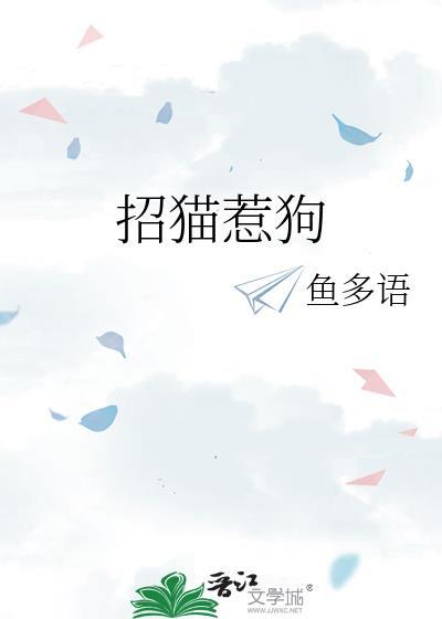 招猫逗狗的意思