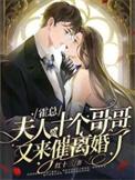 夫人又去天桥下摆摊了