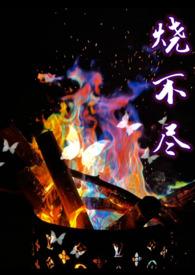 烧不尽(1v1) by utopia