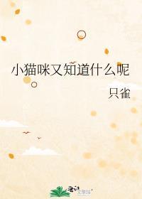 小猫咪咪明白了什么