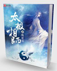 太极大师视频