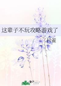 这辈子都不玩攻略游戏了