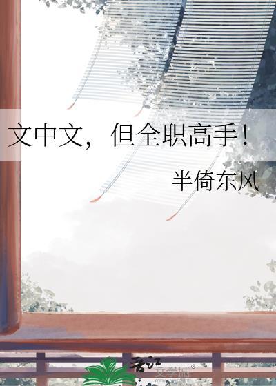 文中文但全职高手半倚东风