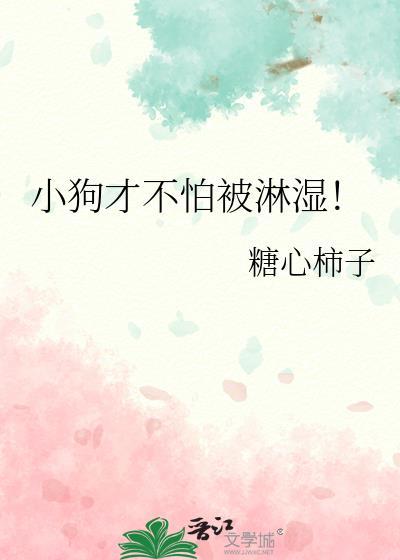 狗狗怕淋雨吗