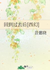 回到过去系列