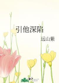引他入深渊阅读