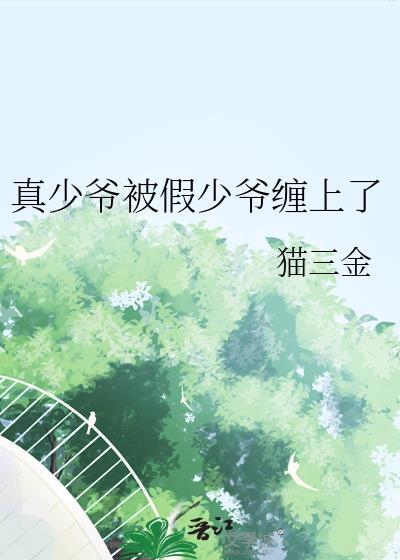 真少爷和假少爷he了免费