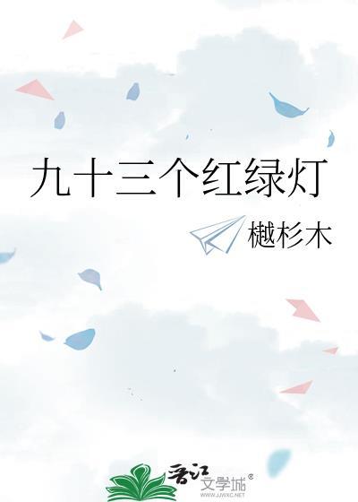 九十三个红绿灯TXT